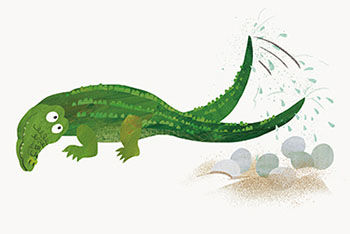 crocodile-1
