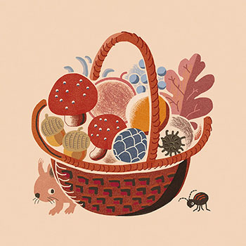 dfwwcover-3-9