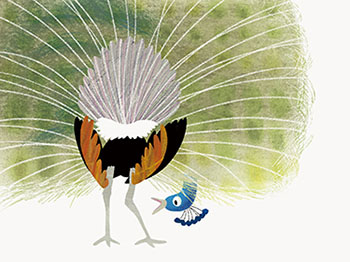 peacock+