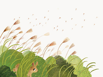 seeds-2