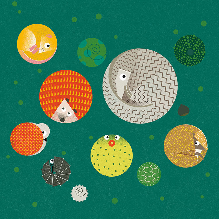 dfwwcover-2-5